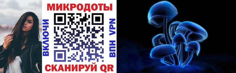 Купить Суоярви Псилоцибиновые грибы Psilocybine cubensis